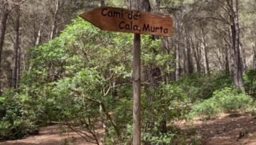 senyal cala murta